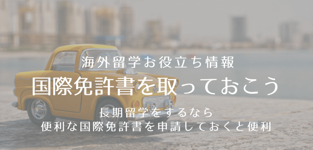 海外留学中の運転免許証はどうすれば良い 留学コラム Iae留学ネット